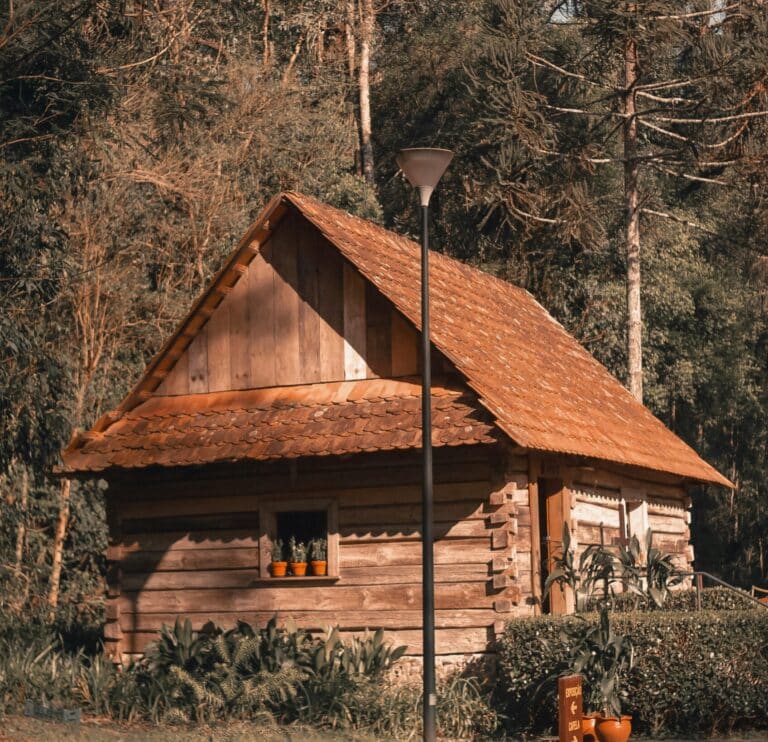 Cottage in woods
